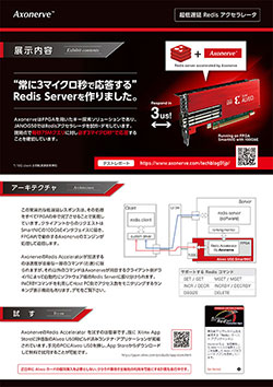 Axonerve Japanese brochure 1